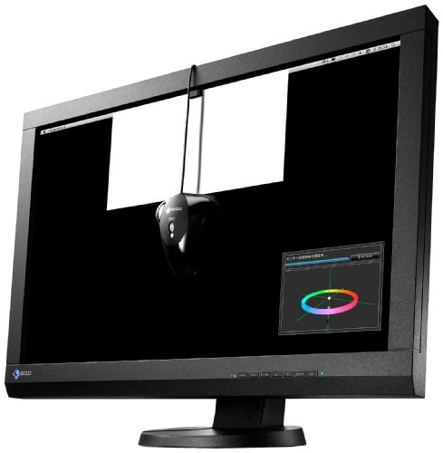 EIZO ColorEdge CX240　傷、シミあり　24インチ EIZO ColorEdge CX240 | EIZO