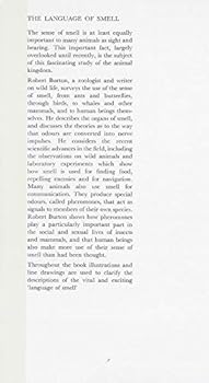 The Language of Smell