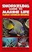 Snorkeling Guide to Marine Life Florida, Caribbean, Bahamas