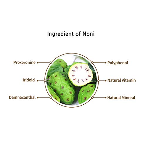 Ms Global Bio Chaga Noni - The Premium Noni Juice, Upgraded With Chaga Mushroom Extracts, 25 Oz Bottle | Noni Juice | Noni | Chaga | Chaga Mushroom | Chaga Extract | Chaga Powder #TOP2