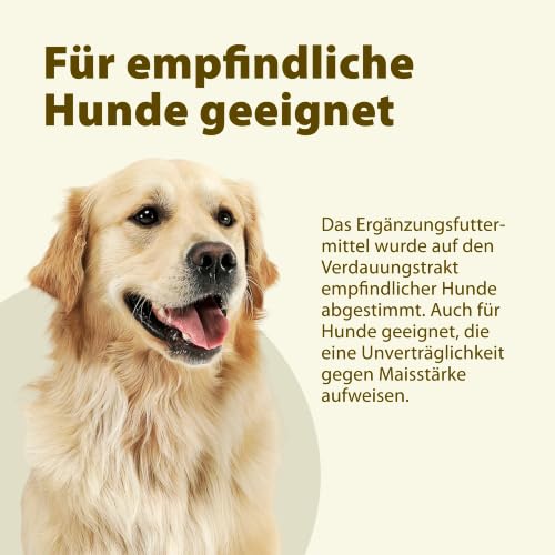 SymbioPet Dog Probiotika für den Hund, 175 g Pulver