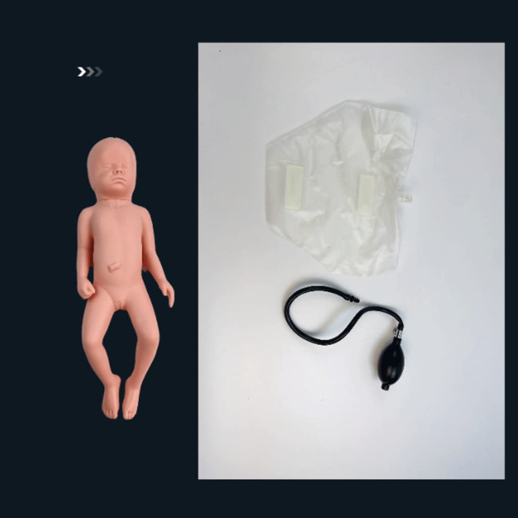 Mannequin de démonstration d'accouchement féminin modèle d'entraînement avancé de sage-femme simulateur d'accouchement standard pour l'enseignement médical