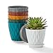 FaithLand 6-Pack 6-Inch Plastic Plant Pots with Saucers | Thickened PP Material, Modern Wave Texture, Enhanced Drainage for Indoor/Outdoor Garden Plants | Multicolor Value Set