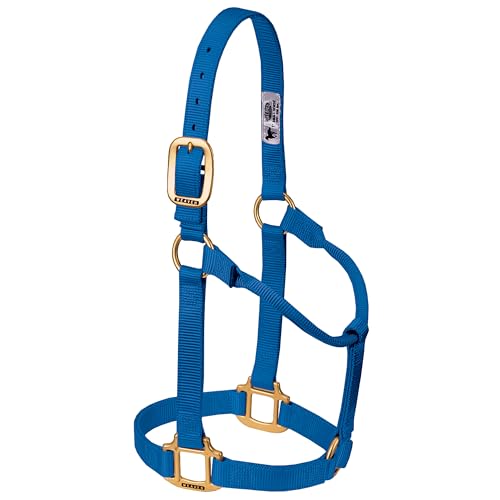 Weaver Leather Original Non-Adjustable Halter, Blue, Average Horse Size