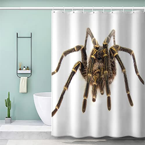 Shower Curtain 120 x 180cm for Bathroom Kitchen Shower Curtains Personality Animal Spider Washable Bathroom curtain Polyester Fabric Bathroom Curtain Anti Mould Shower Curtain Kids