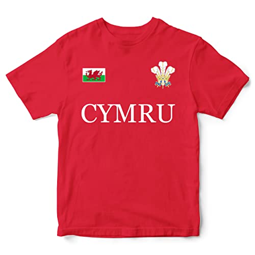 Cymru Flag Badge T Shirt Kids Unisex Prince of Wales Feathers Boy Girl Rugby Tee Top, 5-6 Years, Red