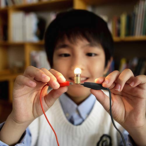 VILLCASE FÃ­sica CiÃªncia LaboratÃ³rio Circuito BÃ¡sico Aprendizagem Kit de IniciaÃ§Ã£o CientÃ­fica