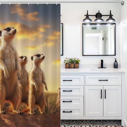 Rideau de douche imperméable Suricate en polyester 168x183cm avec crochets