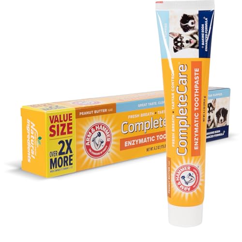 Top 10 Best Enzyme Toothpaste For Dogs Reviews & Buying Guide Katynel