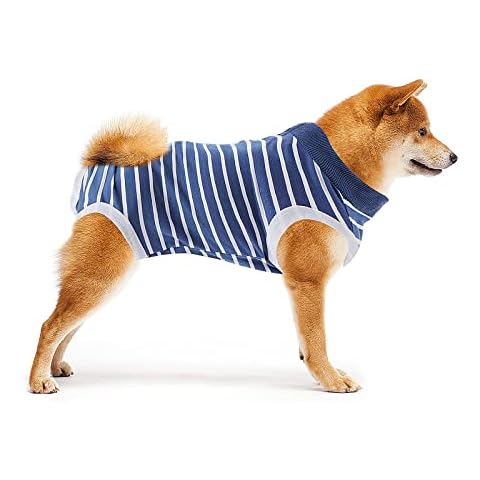 Cobee Traje de recuperación para Perros Cover