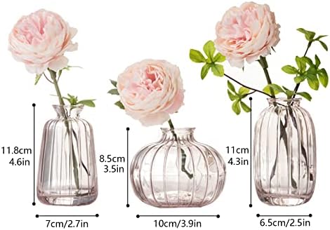 Glass Bud Vase Set of 3, Decorative Small Vase for Table Living Room Bedroom Home Office Kitchen Decor, Pink