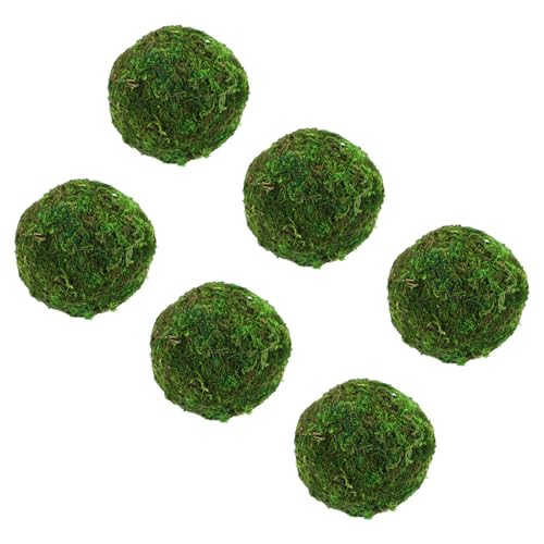 Tofficu 6 ۋʑ{[ K[fp^ۃI[ig RȎƑN₩ȐFŎOÃANZg