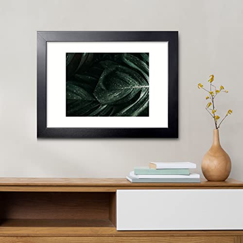 Annecy 14x18 Frame Black 1 Pack, Classic 14x18 Picture Frame Display 12x16 Pictures with Mat or 14x18 without Mat, Horizontal and Vertical for Wall-Mount, Decorate Home and Office with Large Paintings