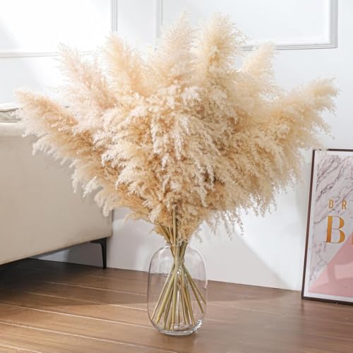 Herbe de Pampa Grand 100 cm/39 Pouces, 10 Bouquets Fleurs séchées Pampa XXL, Fleurs Séchées Décoratives d'herbe de Pampa Naturelle Moelleuse pour...