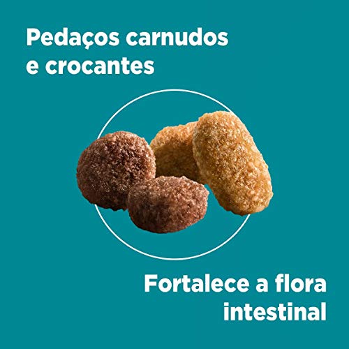NESTLÉ PURINA ONE Ração Seca para gatos filhotes todas as raças Frango e Carne 500g