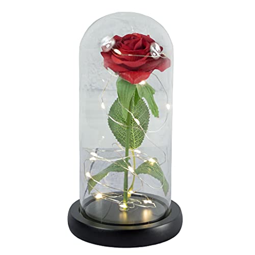 My original gift Rose éternelle avec lumières LED et coupole en Verre, Un Cadeau pour Femme très spécial Cover