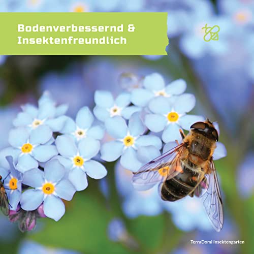 TerraDomi 300g Insekten-Garten I insektenfreundliche Blumenmischung I Saatmischung für zauberhafte Blütenpracht und Nektarangebot I nachhaltig und weniger Plastik - Image 5