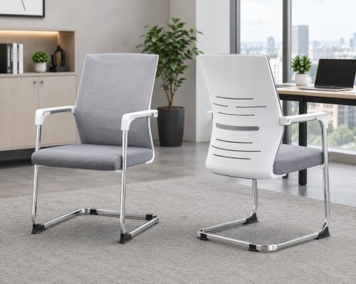 Image of LADDOO Mesh Visitor Chair Set of 2 | Ergonomic Office Guest Chair with Lumbar Support, Breathable Backrest, Cushioned Seat | Heavy-Duty Base | Reception /Waiting Room (Grey) (Installation Needed)