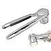 Spremiaglio aglio Garlic Press, tritatutto aglio da cucina in acciaio inox con manico ergonomico, spremiaglio di alta qualità per aglio e zenzero (argento) immagine