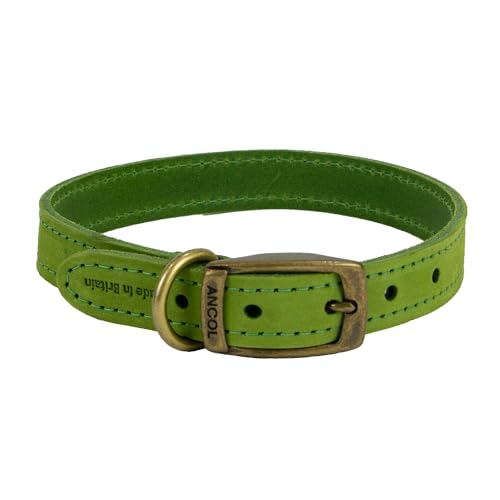 Ancol Hundehalsband aus grünem Leder für Hunde und Welpen, hochwertiges genarbtes Zaumzeug, Haustier-Trainingshalsband, handgefertigt in Großbritannien, langlebiges und geschmeidiges Design, Größe 26