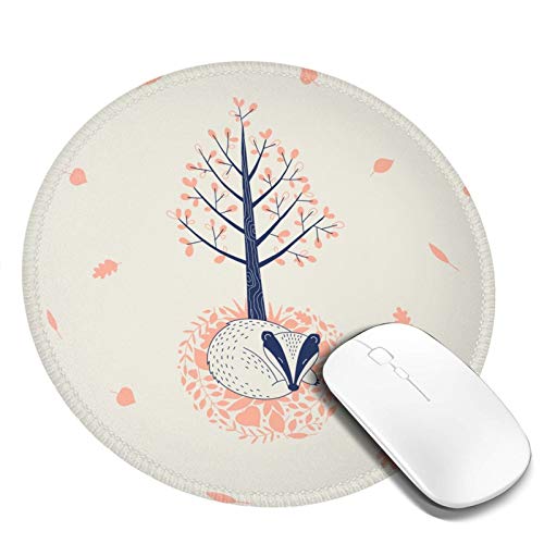 DADABULIU }EXpbh ~` ` Lcl  t k ` Q[~O S w}EXΉ ~ ϋvǂ  킢 h TCo[JtF ItBXœK Kxȕ\ʖC aF20cm