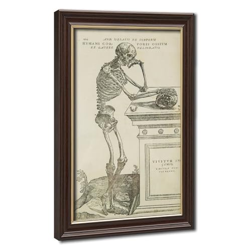 Affiches Andreas Vesalius squelette déco murale toile 30x45cm