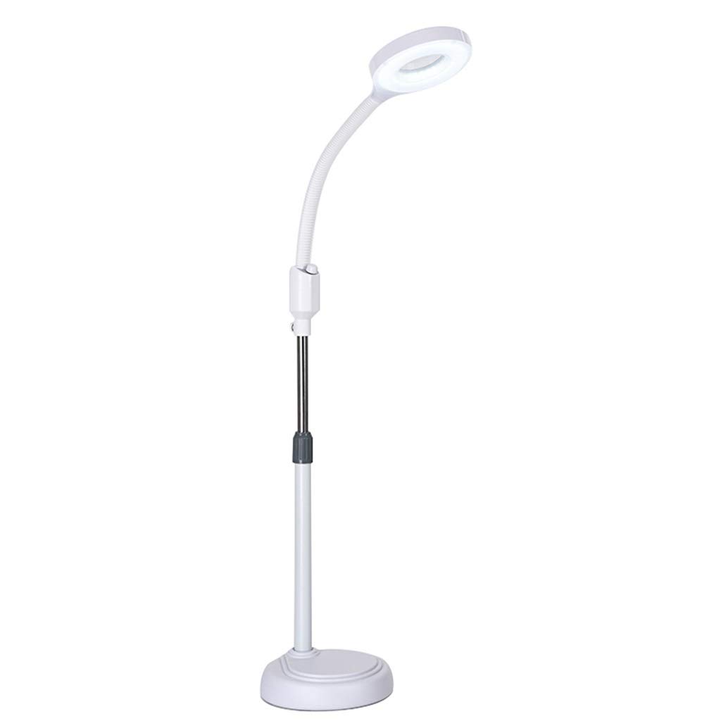 Aioneer Floor Lamp Magnifying Glass Tattoo Beauty Lamp Nail Eyebrow Shadowless Floor Lamp Lifting Dual Use Standing Light