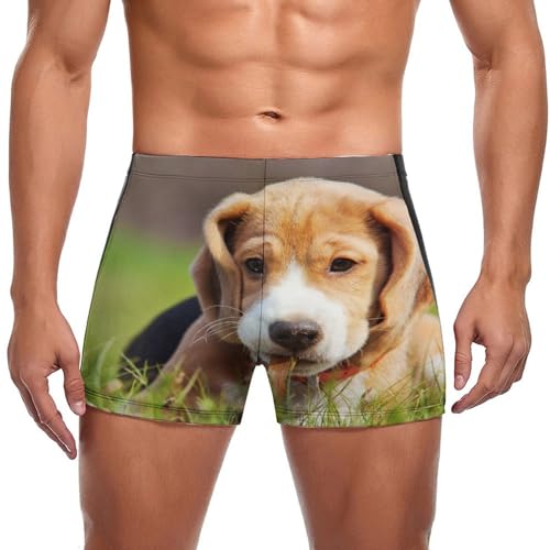 Boxer de bain homme maillot natation swim briefs brun