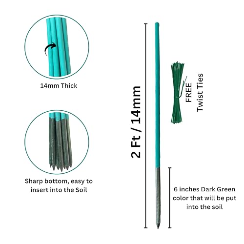 Image of BLOOMAX Hardwood Plant Support Sticks, Lengths-2 ft /14mm, Pack of-12 pcs- with Free Twist Ties