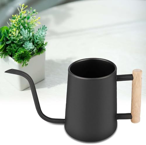 Edelstahl Gießkanne 1,5L Klein | Langer Auslauf Für Zimmerpflanzen | Garten Gießkanne Mit Rundgriff
