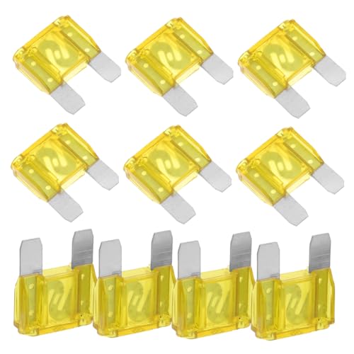 Kit de fusibles automotrices Ciieeo, 20 piezas, caja organizadora para automóvil y camioneta miniatura 1