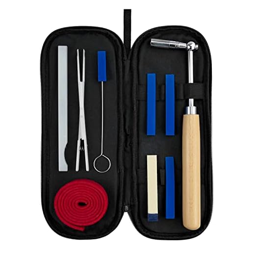 Professional Piano Tuning Kit, Piano Tuner Hammer Mute Kit Tools, Portable Piano Tuning Tools with Felt Temperament Strip and Case, 10 Pcs