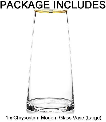 Glasseam Large Glass Handmade Clear Vase, 28cm Tall Modern Flower Vase for Pampas Grass Wide Neck Gold Rim Living Room Decoration for Daffodils Tulip Roses Posy Dining Table Centrepiece