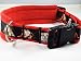 Halsband Englische Bulldogge 50-55 cm Halsumfang
