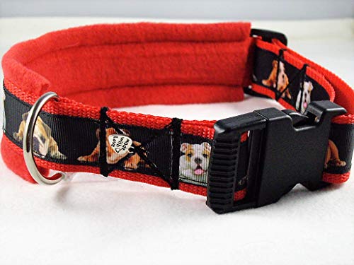 Halsband Englische Bulldogge 50-55 cm Halsumfang