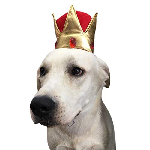 Couronne de chat et casquette de roi pour déguisement mignon de petit chien