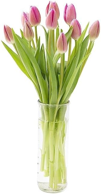 KaBloom Flowers - Mother's Day Collection - Barbie Pink Tulip : Bouquet of 20 Fresh Pink Tulip with Vase.Gift for Anniversary, Get Well, Thank You, Valentine, Mothers Day Flower
