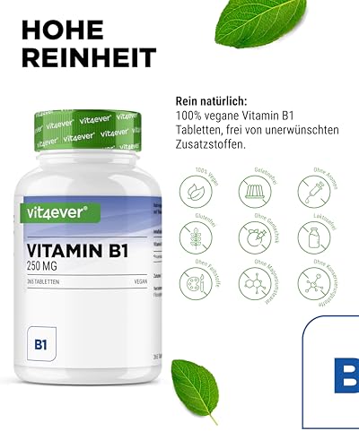 vit4ever Vitamin B1 (Thiamin) - 250 mg - 365 Tabletten - Premium: Thiamin Hydrochlorid - Hohe Bioverfügbarkeit - 12 Monatsvorrat - Ohne unerwünschte Zusätze - Vegan