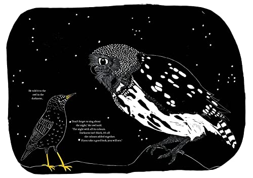 The Starling's Song - Image 4