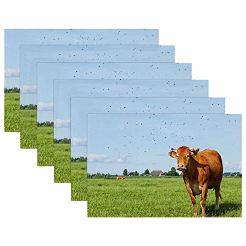 Set de table vache lavable et antidérapant protégeant de la chaleur