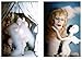 Greer Lankton: Could It Be Love