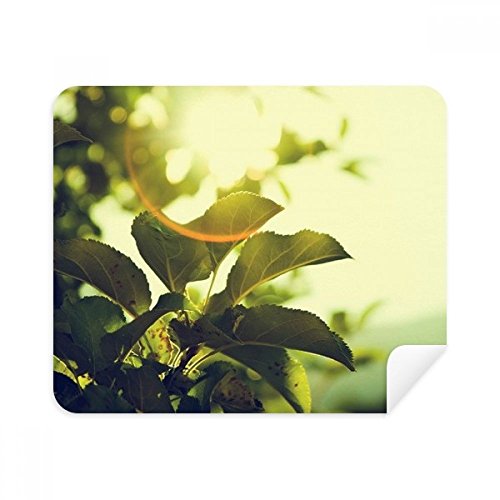 Chiffon de nettoyage en suède de qualité supérieure pour objectifs photo et verres délicats