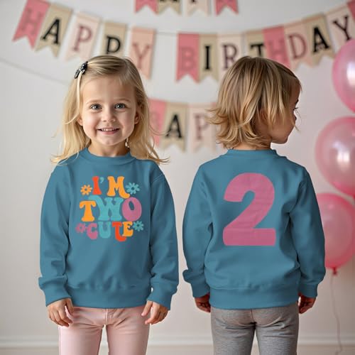 BOUTIKOME 2. Geburtstag Sweatshirt für Mädchen “I’m Two Cute” Drucker Pullover Zweiter Geburtstags Kinder Outfits Schwesterchen Rundhals Langarmshirt Herbst Winter Babykleidung(Blau,2 Jahre)