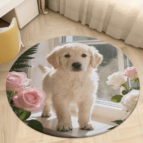 �v���b�V�� �R�[���� �x���x�b�g ���E���h �G���A���O 2.5�t�B�[�g �ɔ� 0.5 cm ��������̗ǂ����� �� �t���A�}�b�g ����~�� TPR���n ��p�C�� ����\ �E�F���J���t�����g�h�A�}�b�g �Q�� ���֑���