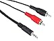 PremiumCord Klinke auf Cinch Y Kabel 10m, Klinkenstecker 3,5mm auf 2x Cinch RCA Stecker, Jack zu RCA, Stereo Audio, Für Digitalkamera, TV, Handys, MP3, HiFi, Farbe schwarz