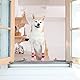 EXPAWLORER beidseitige rutschfeste Hundesocken - weicher und atmungsaktiver Pfotenschutz für Alle Hunde mit verstellbaren Riemen, Traktionskontrolle für Innenbereich auf den Holzboden, Rosa M