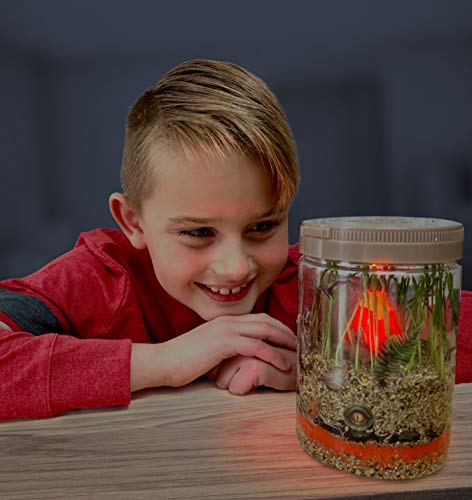 Hapinest Dinosaur Terrarium Kit With Light-Up Volcano Garden - Stem Science Educational Toys And Gifts For Kids Boys And Girls Ages 5 6 7 8 9 10 Years Old And Up #TOP5