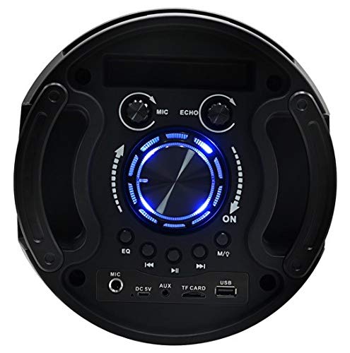Top control panel of Edison Professional iRocker M20 speaker