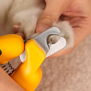 Cat & Dog Pet Nail Clipper - Razor Sharp & Durable Stainless-Steel Blade - Sturdy Non Slip Handles - Professional and Easy At-Home Grooming Tool for All Pets (Green)