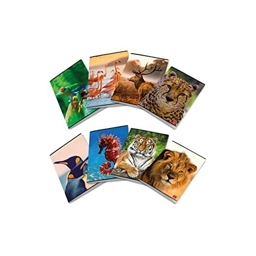 Pigna ANIMAL, Maxi Quaderni A4 Quadretto 0Q con Margine, 5 mm, Confezione da 10 Pezzi